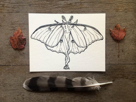 Items similar to Luna Moth, Adult Coloring Cards, Screen Printing
