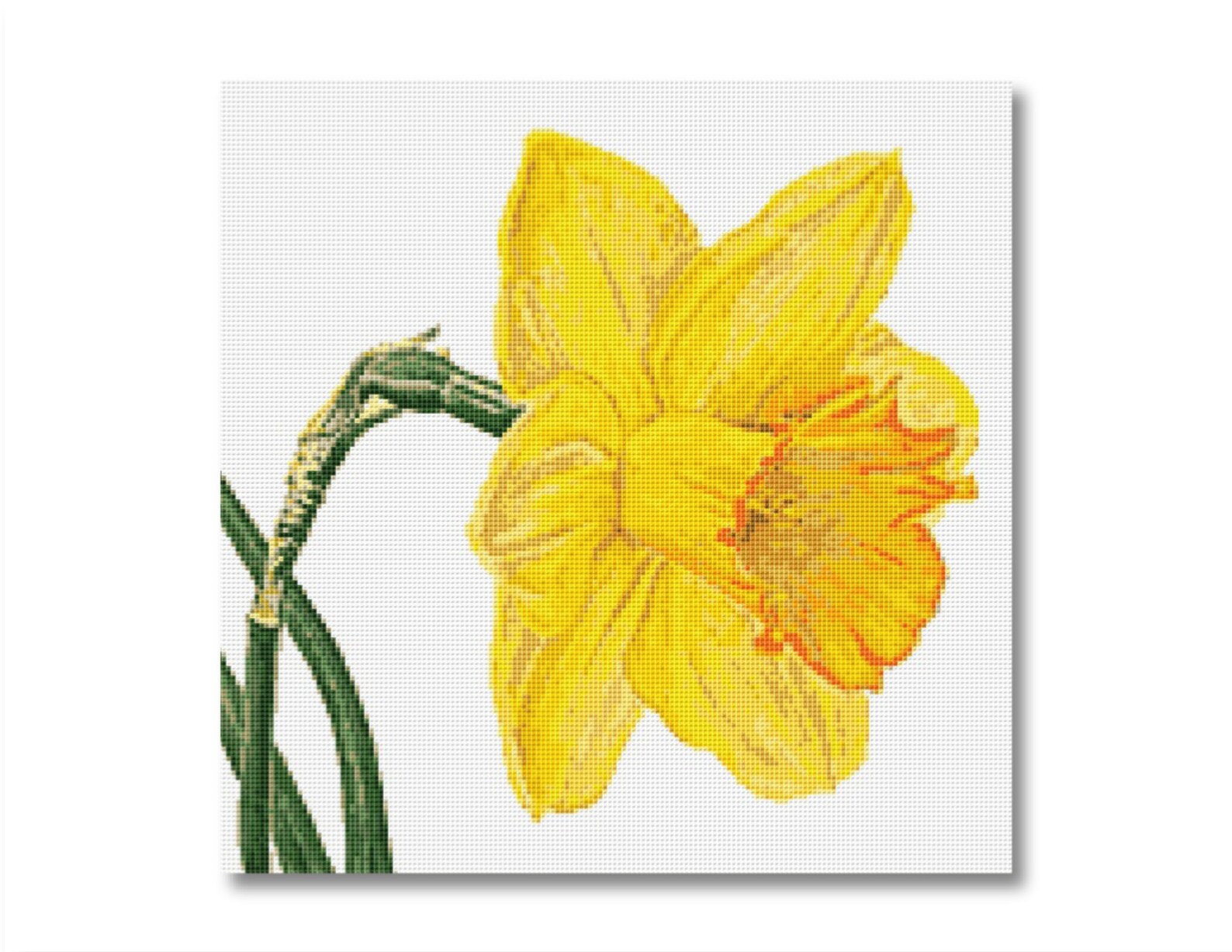 DAFFODIL Floral Cross Stitch Pattern Instant Download XS085 | Etsy