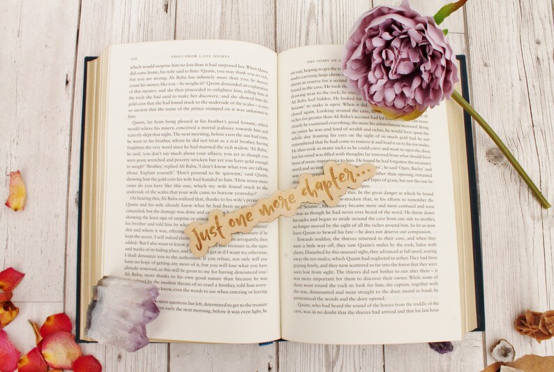 Book Lover Gift Funny Wooden Bookmark Just One More Chapter image 4