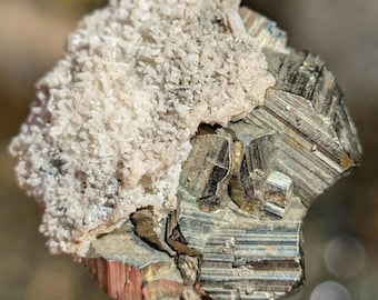 May include: A raw mineral specimen featuring a cluster of metallic, brass-colored cubic pyrite crystals attached to a textured, light beige crystalline matrix. The specimen displays sharp, geometric facets with a reflective, golden luster.