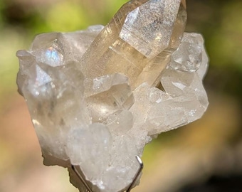 May include: A cluster of translucent, light brown quartz crystals with a prominent central point, held by a silver-toned metal pronged tool. The mineral formation features jagged, clear edges and a natural, crystalline texture with light reflections.