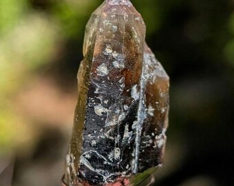 Montana Smoky Quartz Crystal Old Stock Specimen, found in the USA