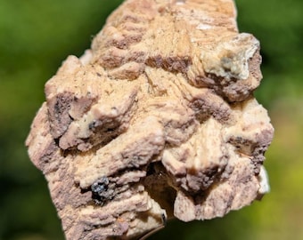May include: A rough, tan-colored mineral specimen with a jagged, crystalline structure. The surface features layered, plate-like formations with earthy brown and beige tones, showing a dense, textured appearance throughout the entire cluster.