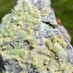 May include: A rough-hewn rock specimen featuring a mix of dark gray and light green hues. The surface is textured with clusters of small, rounded formations in shades of pale green and yellow-green. The rock is held against a blurred green background.