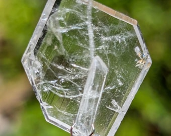 May include: A flat, hexagonal, transparent crystal specimen with visible internal fractures and inclusions, held securely by a metallic pronged tool. The clear mineral displays sharp, geometric edges and a smooth, reflective surface texture.