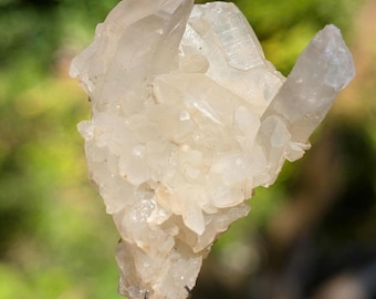May include: A cluster of translucent, off-white quartz crystals with sharp, pointed terminations. The mineral specimen features multiple interconnected crystalline structures with a natural, jagged texture and a pale, semi-transparent appearance.
