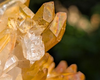 Natural Aura Quartz, Rainbow Golden Healer Crystal, Montgomery County, Arkansas