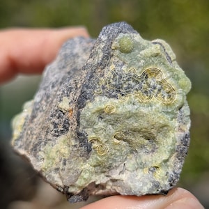 May include: A close-up of a rough-hewn rock with a mix of gray, black, and green hues. The rock's surface features intricate patterns and textures, with small, circular formations in a lighter green color. The rock is held in a hand.