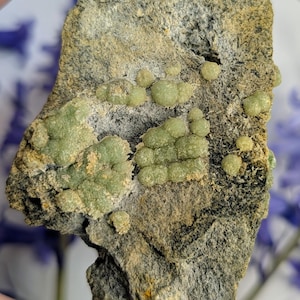 May include: A rough-hewn rock formation with a mix of gray, tan, and yellow hues. The rock is speckled with clusters of small, light green, rounded formations. The background features blurred blue flowers.
