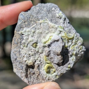May include: A gray rock with light green and yellow mineral deposits. The rock is held in a person's hand, with a blurred natural background.