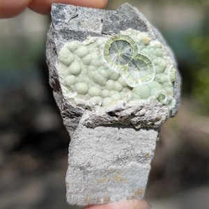 Arkansas Wavellite, found near Mauldin Mtn, AR, USA