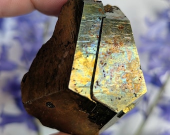 Washington Iridescent Pyrite Crystal, Spruce Ridge, King County, WA, USA