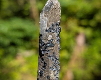 May include: A long, slender, prismatic mineral specimen featuring a textured, brownish-gray surface covered in clusters of small, dark, metallic-looking crystals. The top section transitions into a translucent, clear, and jagged crystalline point.