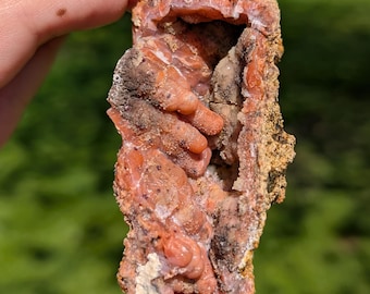 Botryoidal Pink Geode, Found in Morocco