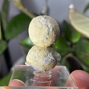 Arkansas crandallite pseudomorph of Wavellite, found in Mauldin Mt., AR, USA