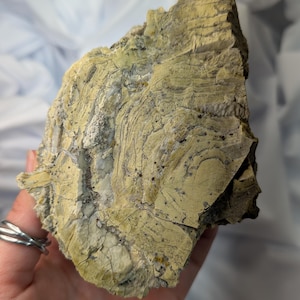 May include: A piece of raw rock with a layered, textured surface. The rock has a mix of pale yellow, gray, and white colors, with darker spots scattered throughout. The rock's surface has a rough, uneven texture.
