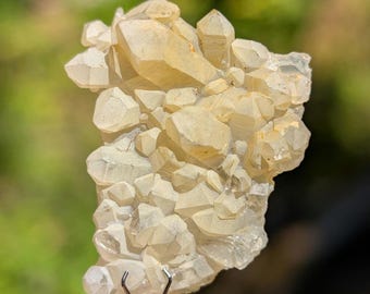 May include: A cluster of pale yellow, translucent quartz crystals with sharp, pointed terminations. The mineral specimen features numerous small, tightly packed crystal points growing together in a jagged, irregular formation held by a metal clamp.