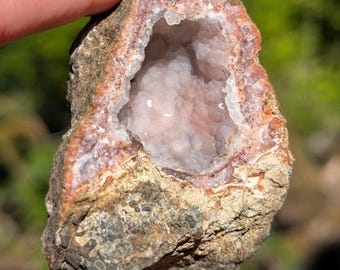 May include: A geode featuring a rough, brownish-gray exterior rock shell with a hollow center filled with pale pink, crystalline formations. The interior cavity is lined with small, clustered, translucent crystals that catch the light.