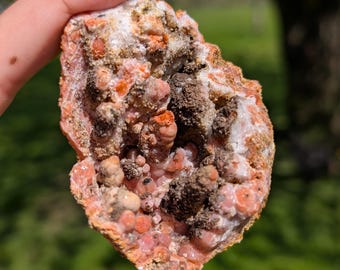 Botryoidal Pink Geode, Found in Morocco