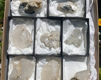 May include: A collection of various crystals and minerals displayed in individual black boxes within a larger cardboard box. The crystals vary in size, shape, and color, with some appearing clear and others having a milky or earthy tone. Each box is lined with white tissue paper.