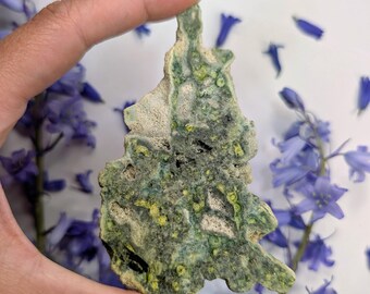 Wavellite Slab, Lapidary Rough, Montgomery County, Arkansas