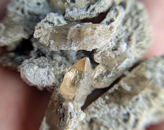 Crystal bundle; Utah Topaz on Rhyolite, Topaz Mountain, UT