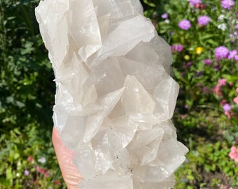 May include: A large, raw, white calcite crystal cluster. The crystal has a rough, textured surface with many sharp, angular points. The background is blurred, showing colourful flowers and greenery. The crystal is held in a person's hand.