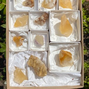 Montana Golden Calcite Crystal Wholesale Lot, 11 Specimens, Found in Gallatin County, MT, USA