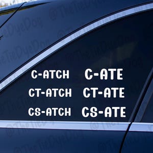 Könnte beinhalten: Weiße Vinyl-Autoaufkleber mit den Wörtern "C-ATCH", "C-ATE", "CT-ATCH", "CT-ATE", "CS-ATCH" und "CS-ATE". Die Aufkleber werden auf einer dunkelblauen Autoscheibe angezeigt.