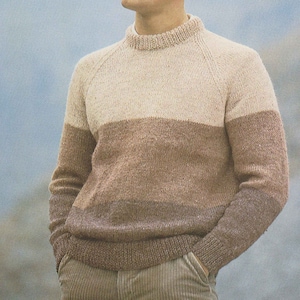 May include: A beige, brown, and dark brown striped sweater with a crew neck.