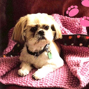 Puede incluir: Un perro pequeño y blanco con ojos marrones está acostado en una manta de punto rosa. El perro lleva un collar negro con una etiqueta que dice "Love".