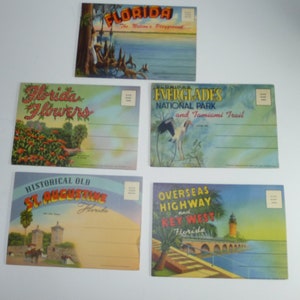 5 linen Florida postcards folders unposted.