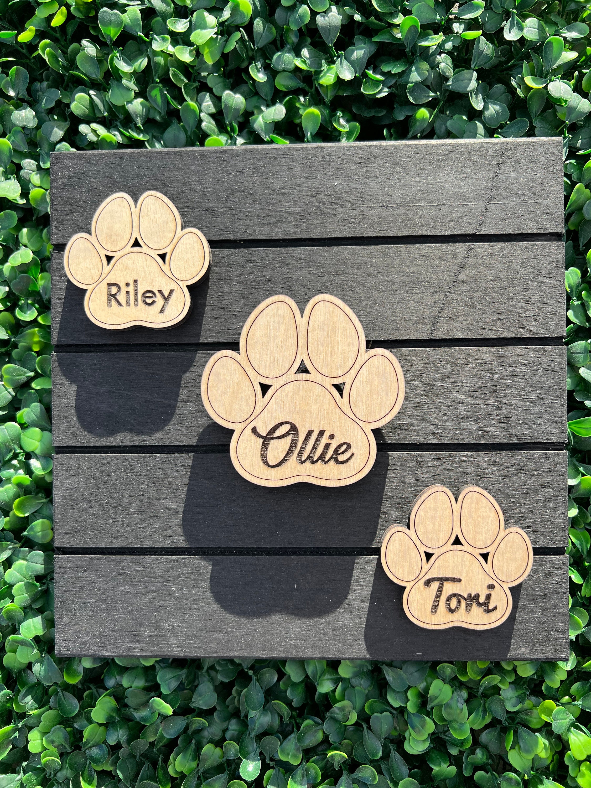 Dog Paw Shaped Magnets: BEST FRIEND ON BOARD | Dogs, Gifts, Cars - Foto 9