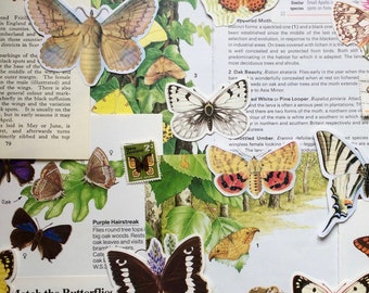 Butterfly and Moth Ephemera - 25pc Paper Pack Vintage Collage Kit - Nature Collection | Scrapbook Junk Journal Decoupage Die Cut Out Pages