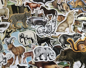 Animal Ephemera - 25pc Mixed Cut Outs - Vintage Nature Wildlife Collection | Scrapbook Collage Kit Junk Journal Decoupage Die Fussy Cut