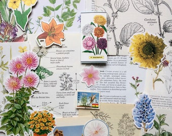 Floral Ephemera - 25pc Paper Pack Vintage Collage Kit - Botanical Collection | Scrapbook Junk Journal Decoupage Die Fussy Cut Outs Pages