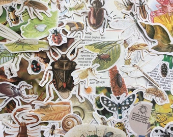 Insect Ephemera - 25pc Mixed Cut Outs - Vintage Nature Bug Collection | Scrapbook Collage Kit Junk Journal Embellishment Die Cut Fussy Craft