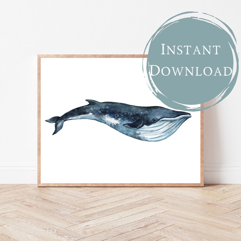 Humpback Whale Printable Kids Wall Decor Boys Room Art Etsy UK humpback-whale-printable-kids-wall-decor-boys-room-art-etsy-uk