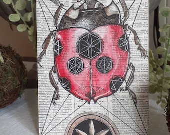 Ladybug Art. Entomology Art. Ladybug Magnet