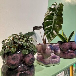 May include: Three ceramic planters in the shape of a human torso, each with a different plant. The planters are painted in shades of purple and black, and have a textured surface.