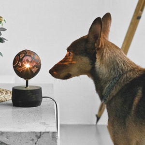 Pode incluir: Um c&atilde;o castanho e preto olha para uma pequena l&acirc;mpada redonda de coco esculpida com uma luz quente que brilha por dentro. A l&acirc;mpada est&aacute; sobre uma base preta e est&aacute; sobre uma mesa cinzenta.