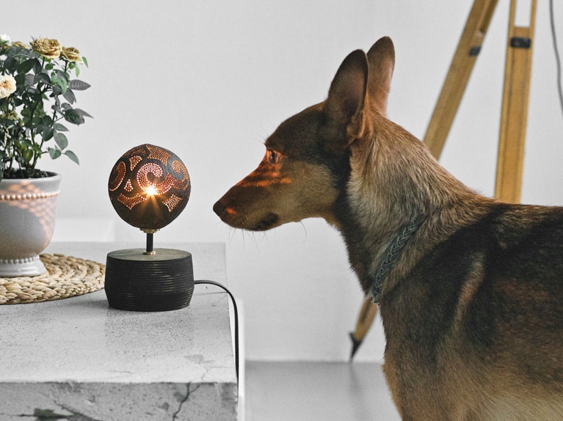 Pode incluir: Um c&atilde;o castanho e preto olha para uma pequena l&acirc;mpada redonda de coco esculpida com uma luz quente que brilha por dentro. A l&acirc;mpada est&aacute; sobre uma base preta e est&aacute; sobre uma mesa cinzenta.