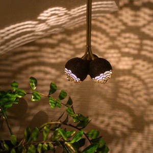 May include: A hanging light fixture made from two carved coconut shells with intricate designs. The shells are illuminated from within, casting a warm glow.