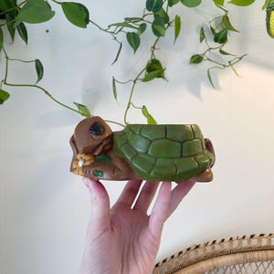 May include: A ceramic turtle planter in shades of brown and green. The turtle has a detailed shell and a small opening for planting. The planter is held in a hand, with trailing green plants in the background.