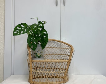 Vintage wicker bench/wicker plant stand