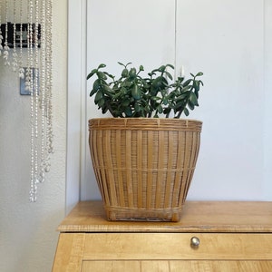 Vintage plant basket