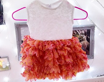 Baby Floral Ruffle Skirt Dress.