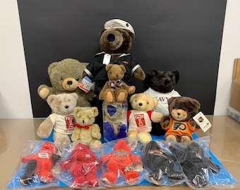 Vintage Lot of 14 Plush Bears Patriot Navy Temple Univ NHL Philly Flyers Nascar