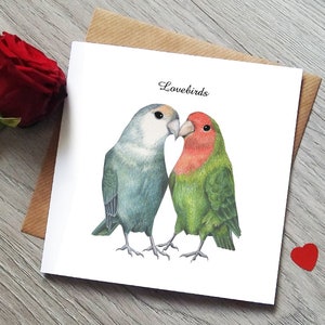 Carte de Saint-Valentin tourtereaux - Carte de tourtereaux - Jolie carte de Saint-Valentin - Carte de mariage - Carte oiseau - Carte de Saint-Valentin oiseau