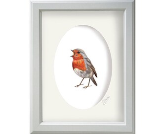 Robin Art - Robin artwork - Robin Print - Robin Gifts - Robin Watercolour - Christmas Robin - Bird Lover Gift - Christmas Gifts